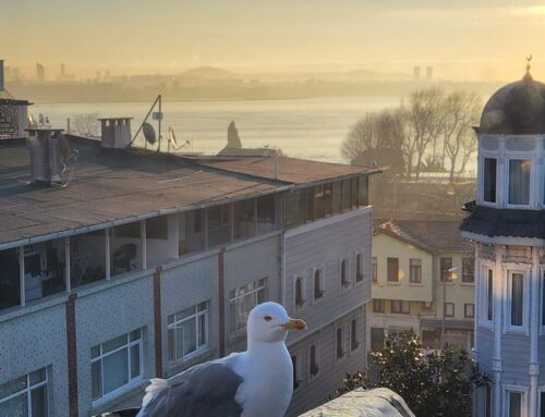 Istanbul. Day #1 Morning